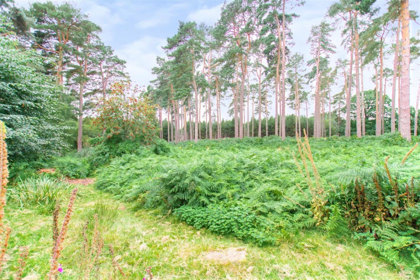 Images for Tree Tops, Slitting Mill Road