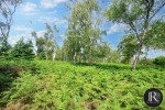 Images for Kingsley Wood Road, Cannock Chase