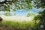 Images for Spring Cottages, Slitting Mill